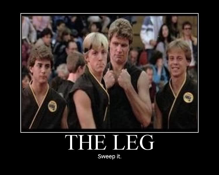 Image result for Sweep the leg memes